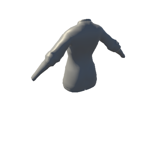 F_Wanderer Torso_Skinned